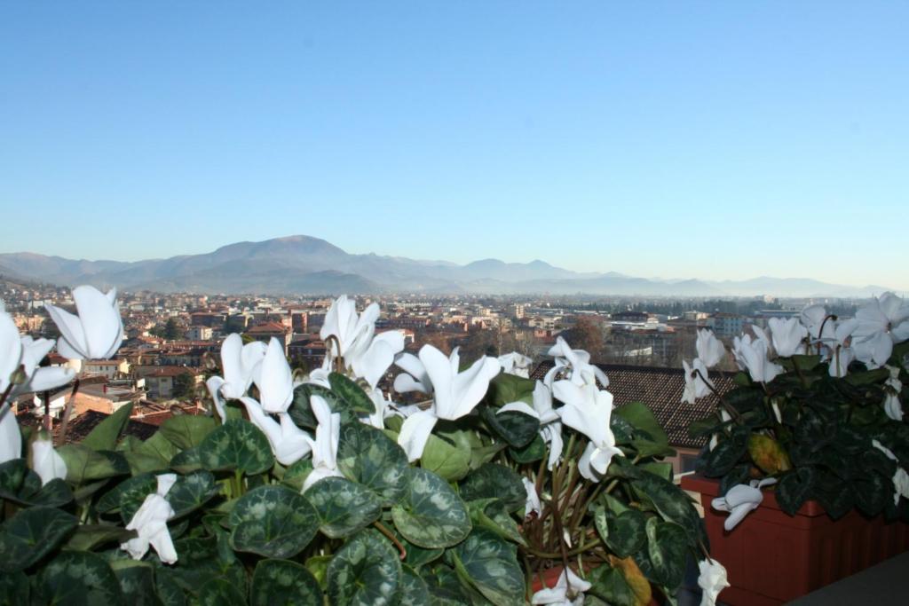 Casa Vacanza Fontana Del Delfino Bergame Chambre photo